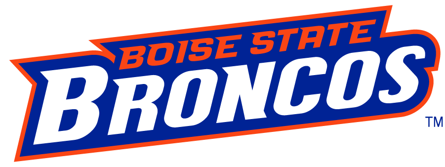 Boise State Broncos 2002-2012 Wordmark Logo v8 diy DTF decal sticker